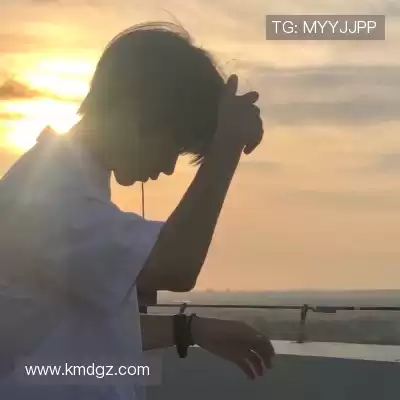 蓬盈晓